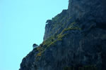 Photo of Capri