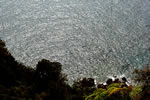 Photo of Capri