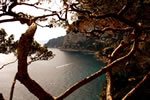 Photo of Capri